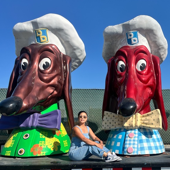 Meet your Posher, Rhenan - Picture 5 of 9